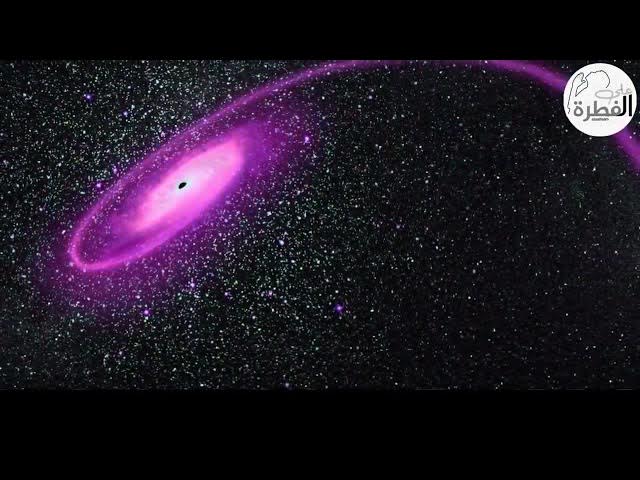 Video thumbnail for ما هو تخصصك هل معرفة شكل الأرض يحتاج إلى تخصص الجاذبية الثقب الأسود الملحدين