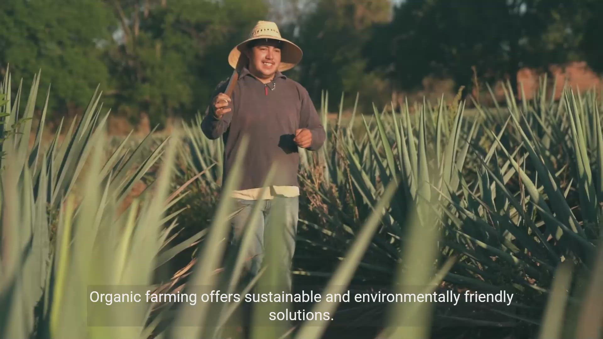 'Video thumbnail for Economical Viable Organic Farming Products'