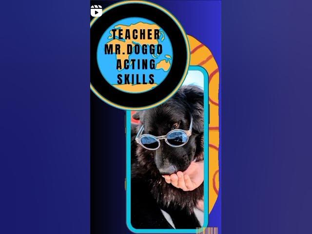 'Video thumbnail for Doggo acting skills #happydogs #dogtraining #dogcollar #doggozila #funnydogvideos #dogvideoshorts'