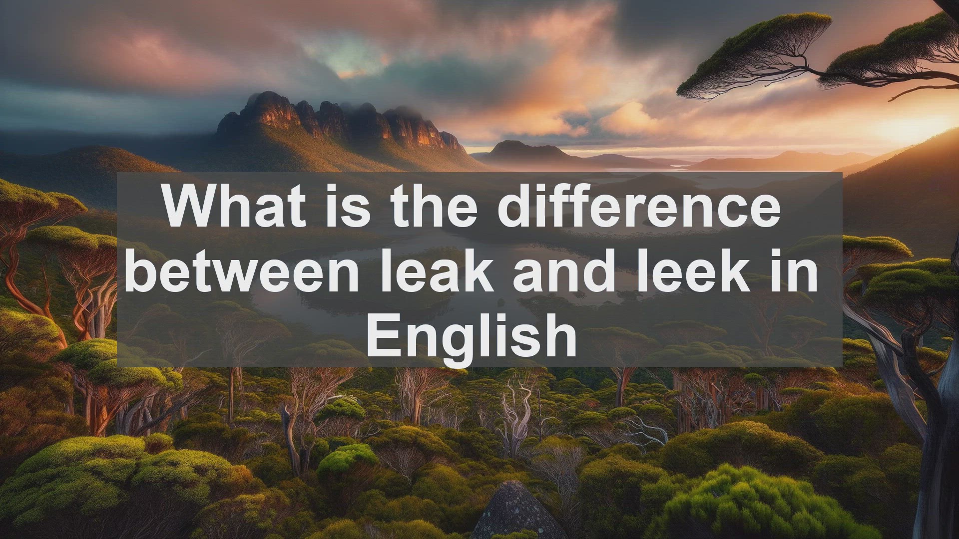 'Video thumbnail for What is the difference between leak and leek in English?'
