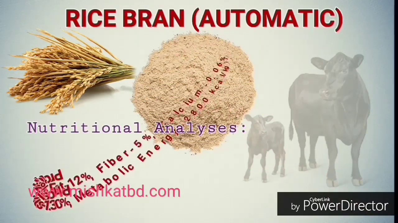Video thumbnail for Nutritional analysis of 15 most using animal feed ingredients in Bangladesh.