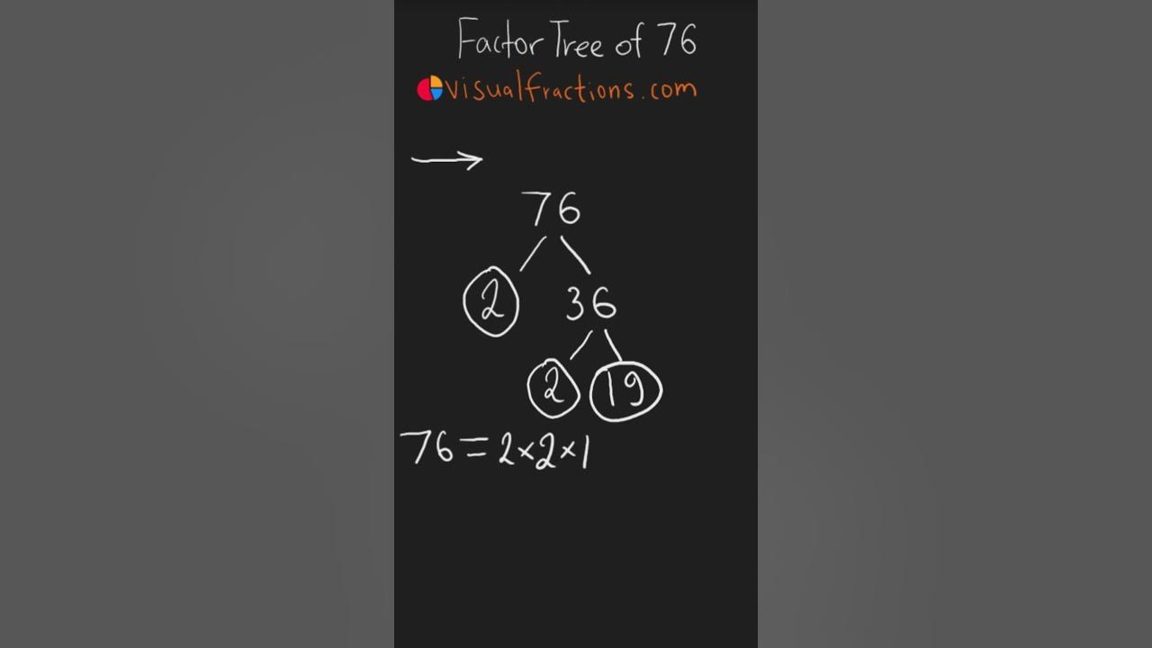 Video thumbnail for Factors of 76: Prime Factorization Using a Factor Tree #math #factors #mathshorts #factorization