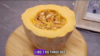 'Video thumbnail for "Pumpkin Fan Facts: Unveiling Surprising Truths!"'