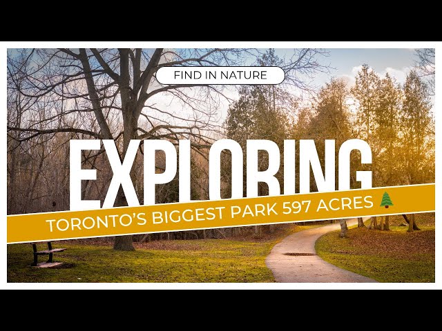 Video thumbnail for Morningside Park Scarborough Toronto 🦌 597 Acres Nature Paradise