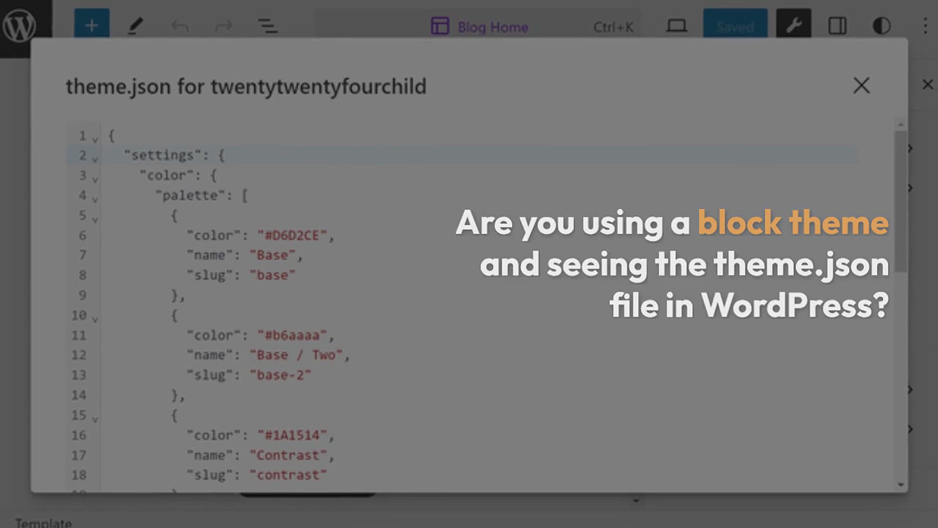 'Video thumbnail for What Is theme.json File in WordPress and How to Use It'