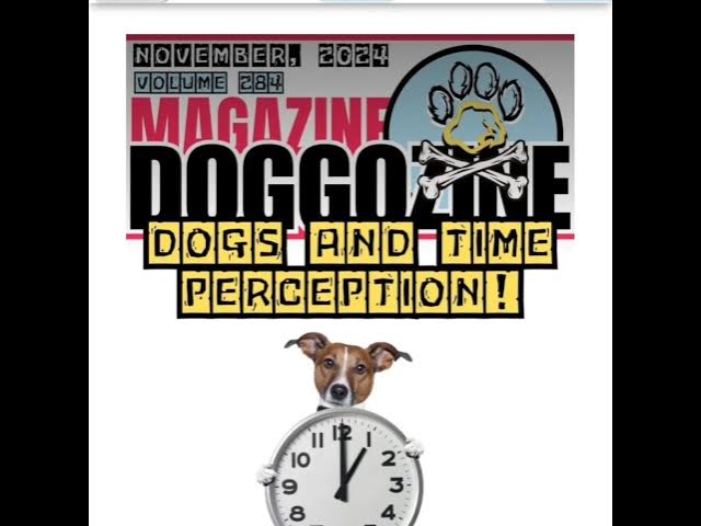 Video thumbnail for Dogs and Time Perception: Do Dogs Perceive Time? by Doggozila Magazine