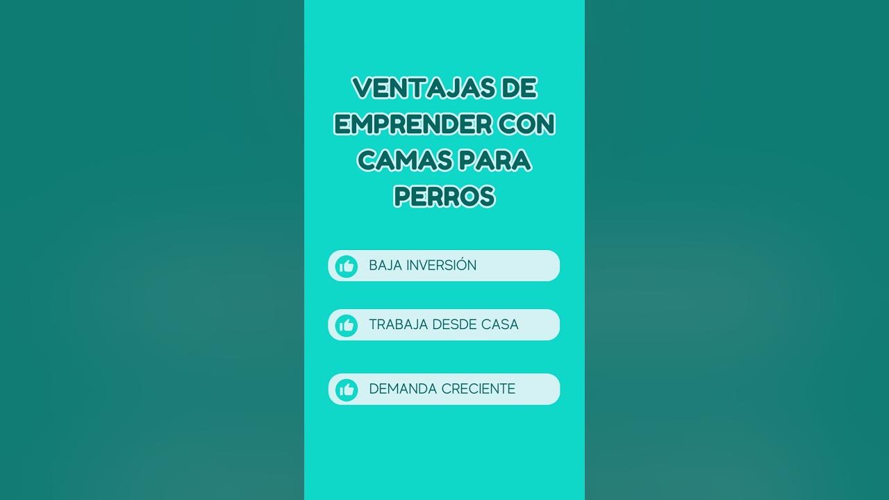 Video thumbnail for 馃悤驴Quieres emprender pero temes la inversi贸n inicial?     #camasparaperros #negociodesdecasa