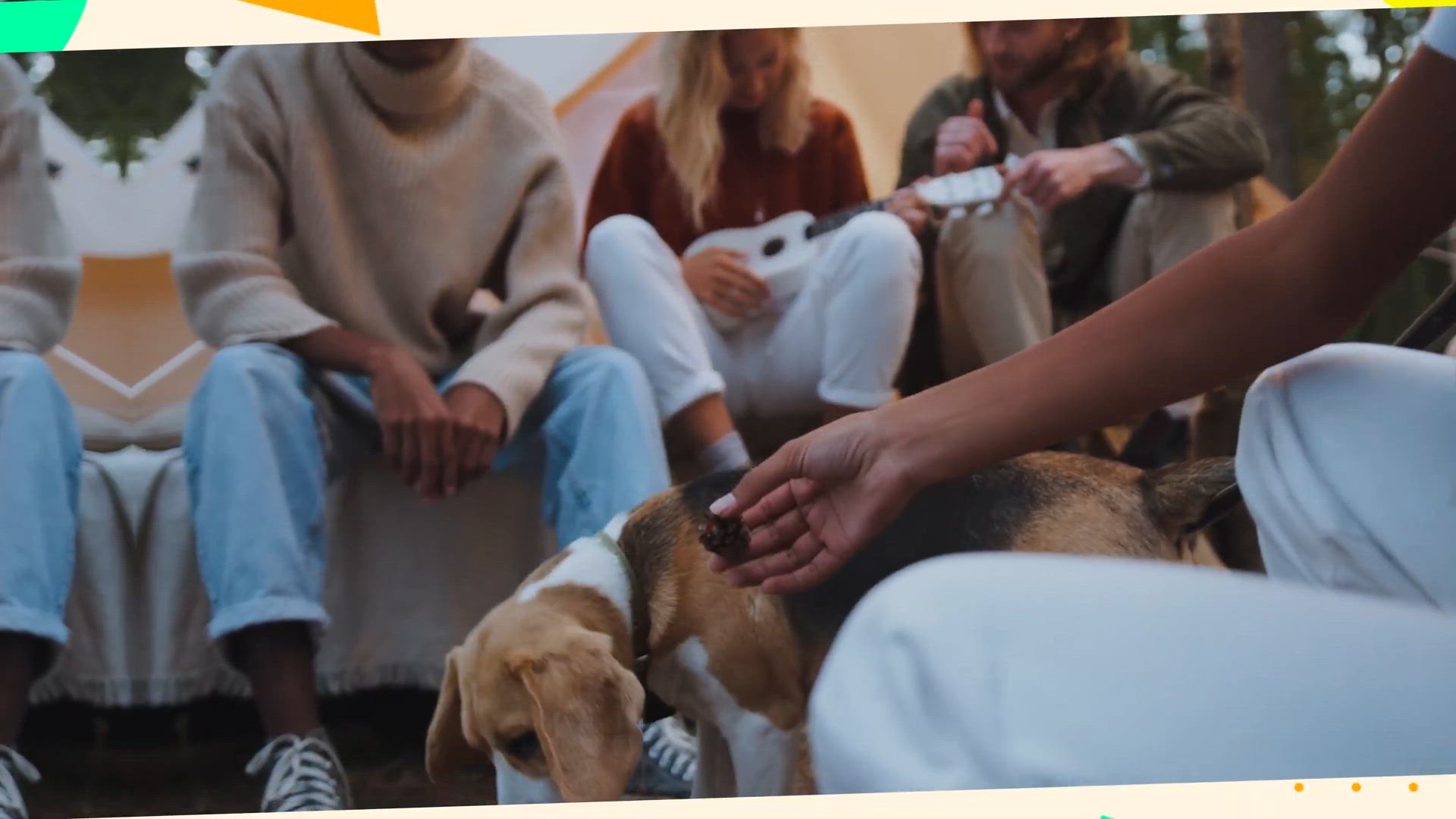 15 Unique Beagle Names🐶 Humix Video