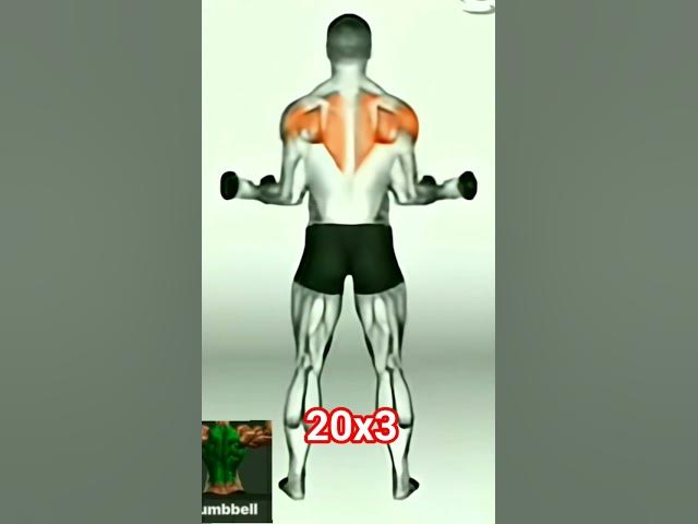 Video thumbnail for #aerobic #sports #الاجسام #motivation #body_building #shoulder #fitness #personaltrainer #chest #bak
