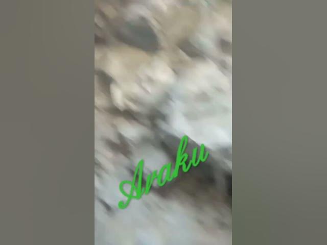 Video thumbnail for అరుకు గుహా