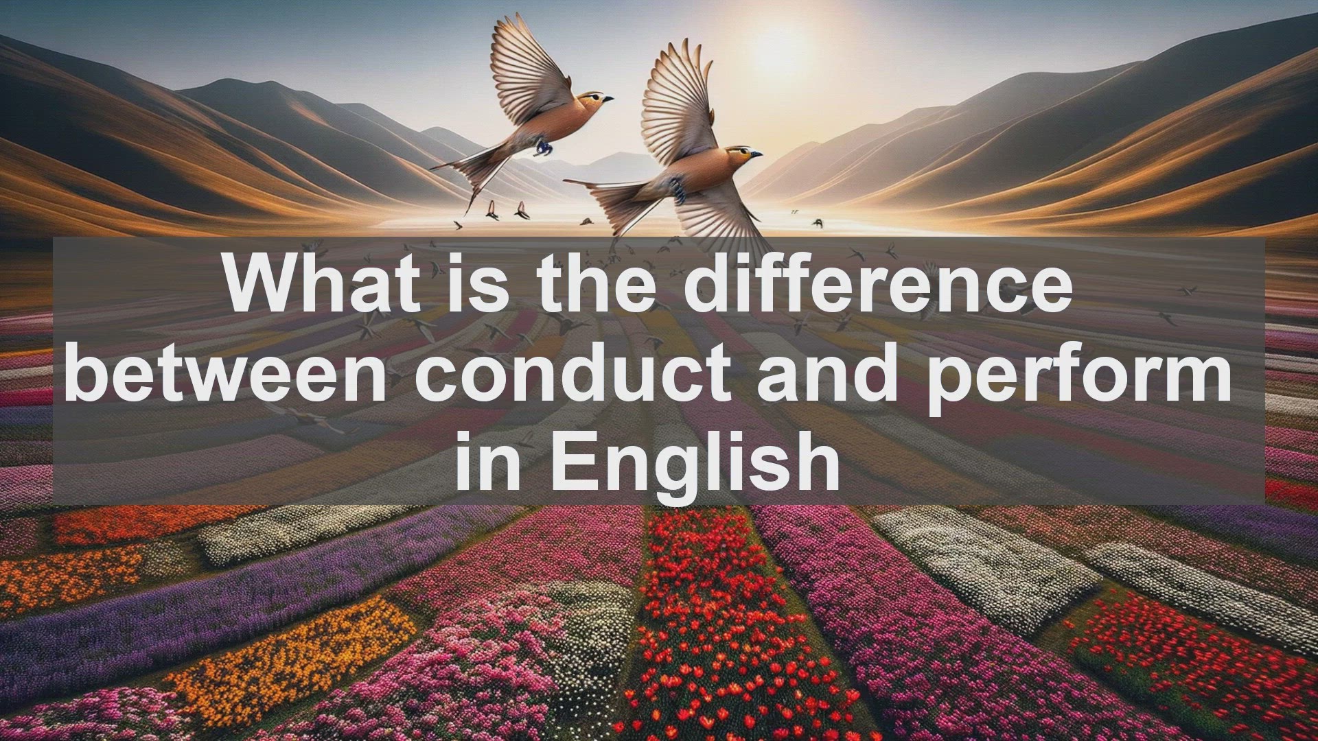 'Video thumbnail for What is the difference between conduct and perform in English?'