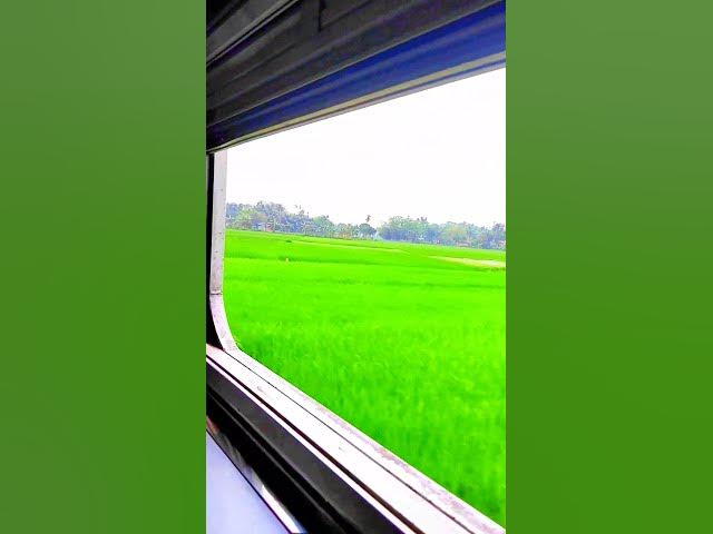 Video thumbnail for কোরআন তিলাওয়াত #shorts #viral #foryou #qurantilawat