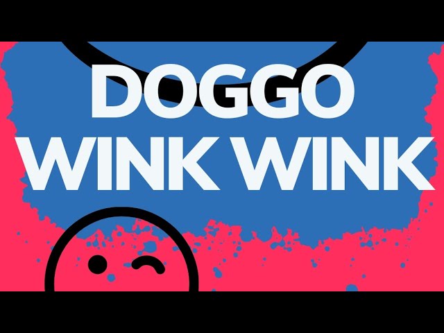 'Video thumbnail for Wink Wink by Doggo Bruno / AV #shelterdog #littledog #winkingdog #doggozila #animalsvoice'