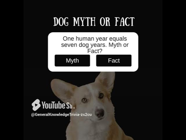 Video thumbnail for updated 2