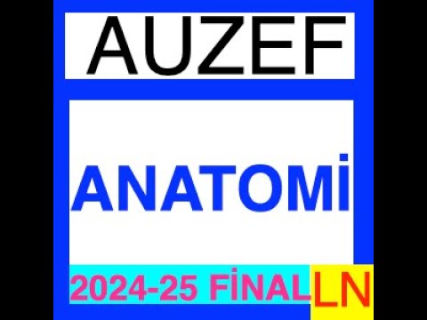 'Video thumbnail for Anatomi 2024-2025 Final Soruları'