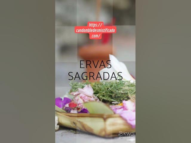 'Video thumbnail for 30 de outubro de 2024'