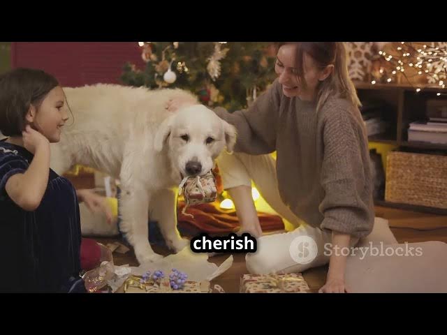 Playlist thumbnail for 1o1 German Shepherd