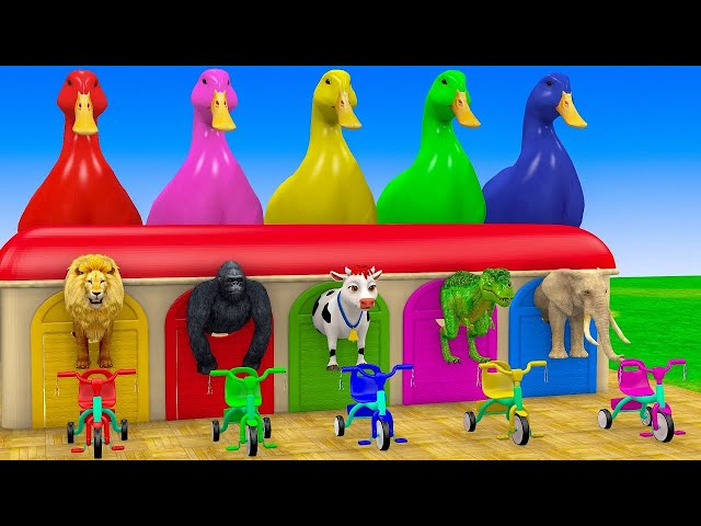 Video thumbnail for Long Slide Game With Cow Elephant Gorilla Hippopotamus Tiger 3d Animal Game Funny 3d Animals Spider