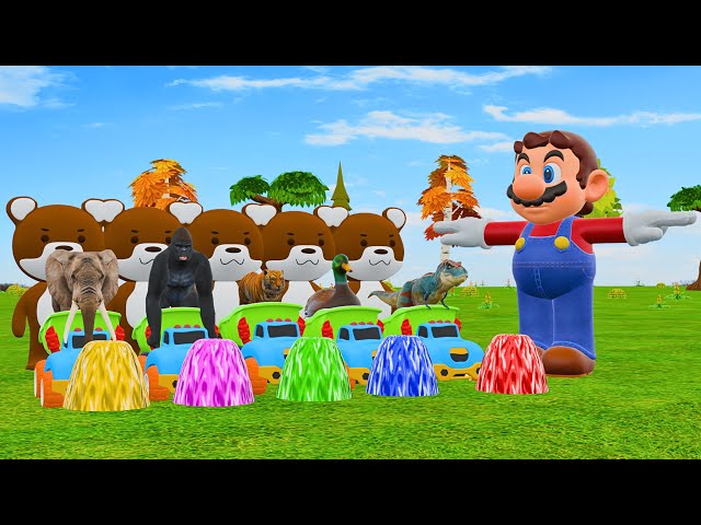 Video thumbnail for Paint Animals Duck Tiger  Cow Lion Buffalo Gorilla Elephant Dinosaur Fountain Crossing Animal Game