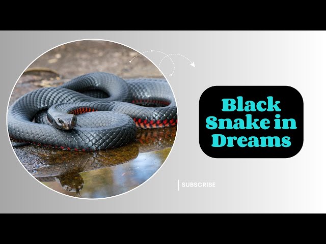 Playlist thumbnail for Dreams interpretations and meanings