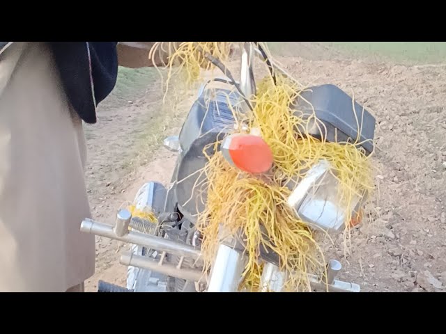 Video thumbnail for Modified Honda 125 in 2050 #funny #foryou #fyp #viral #mianwali #punjabi #sarkisian