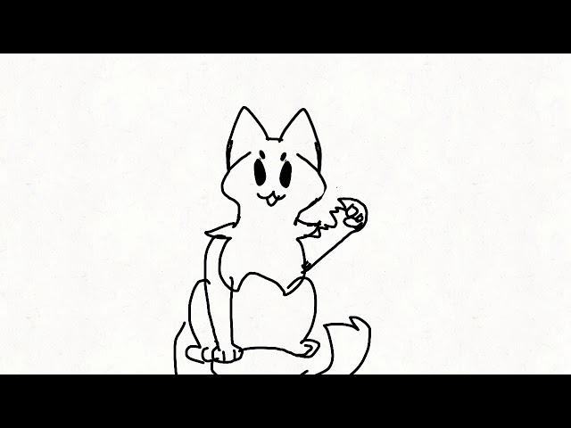 Video thumbnail for cat