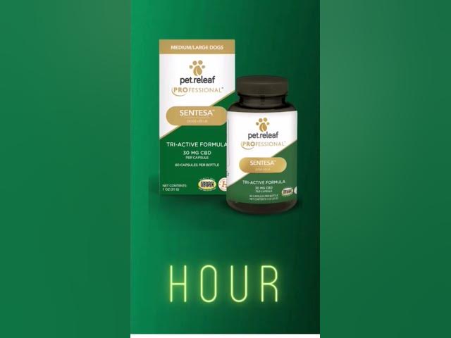'Video thumbnail for NEW! SENTESA Tri-Active Capsules | Medium/Large Dogs❤️.https://shrsl.com/3ptf9🐶 CBD for dog's'