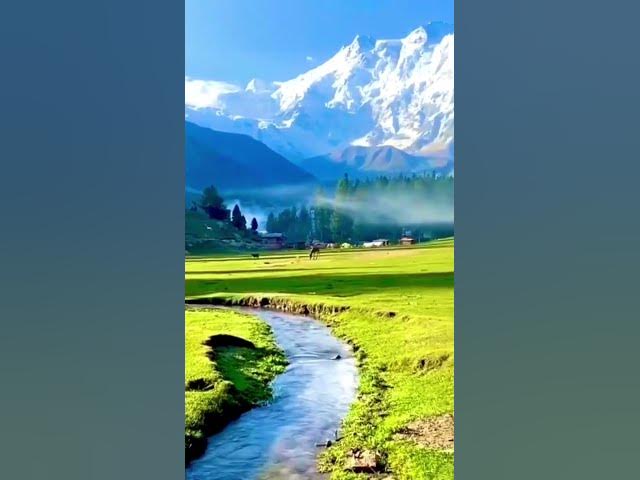 Video thumbnail for alluring horse and garden for relax