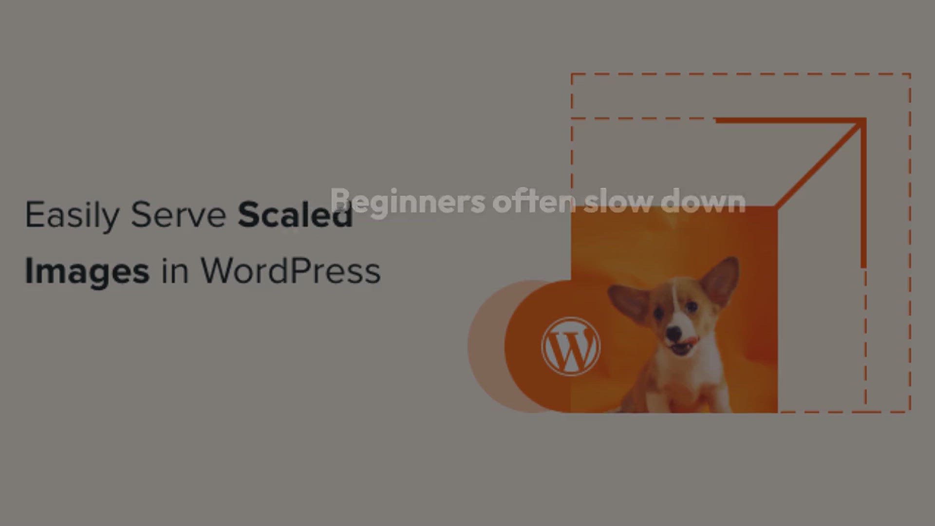 'Video thumbnail for How to Easily Serve Scaled Images in WordPress (Step by Step)'