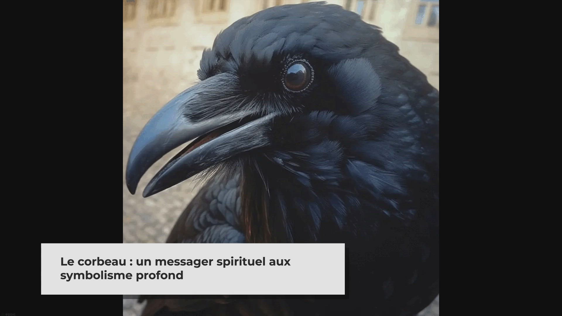 'Video thumbnail for Voir un corbeau signification spirituelle'