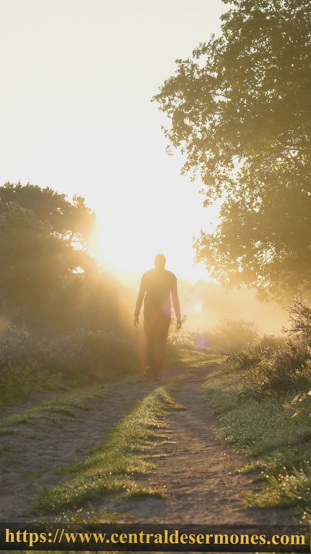 'Video thumbnail for 🙏 Empieza Tu Día con Dios: Oraciones de la Mañana para Fe y Esperanza 🌞 #shorts | Caminar en tu verdad'