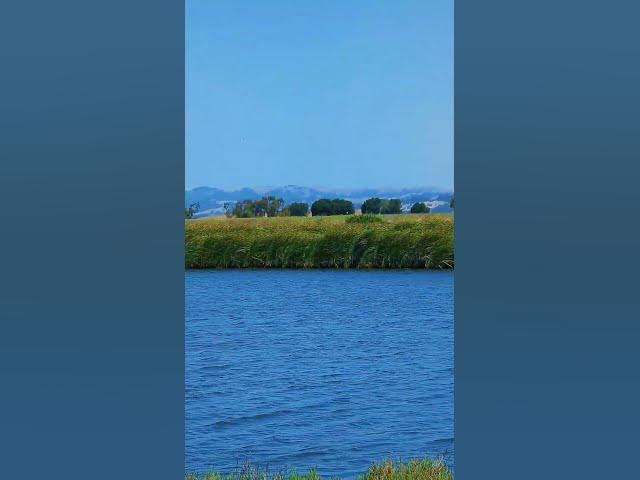 Video thumbnail for Nuevo Álbum!!! Disponible Ahora!!! #youtubeshorts #NuevasVersiones