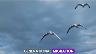 'Video thumbnail for "Discovering the Hidden World of Birds: Amazing Encounters and Fascinating Facts!"'