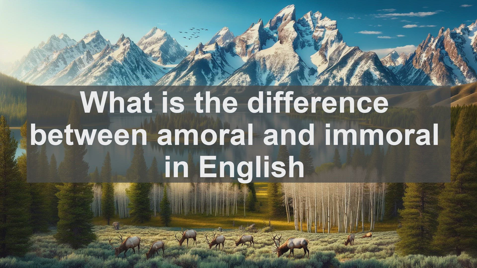 'Video thumbnail for What is the difference between amoral and immoral in English?'