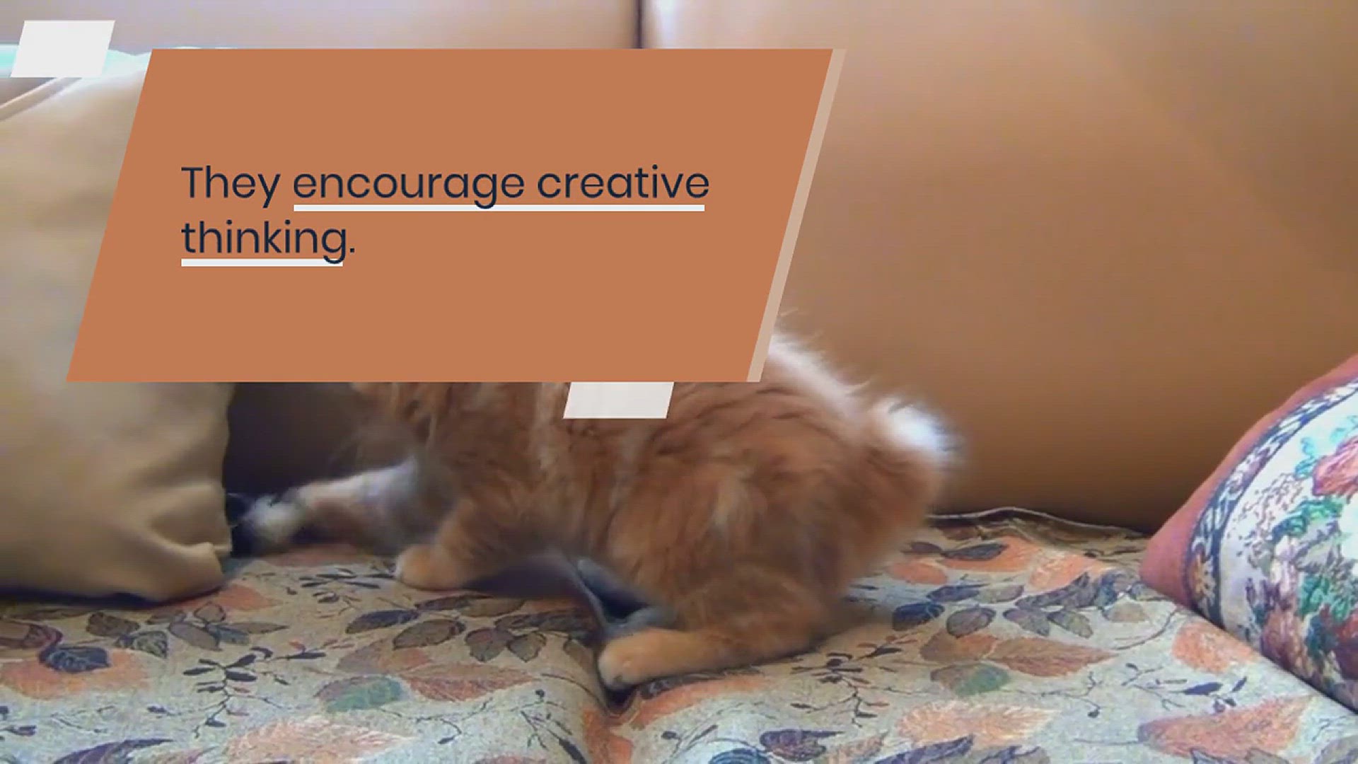 'Video thumbnail for Brains Teaser Ideas'