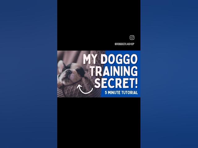 'Video thumbnail for #DogTraining #dogtrainingtips #dogtravel #trainyourdog #travelingdog #dogadventures #mananddog'