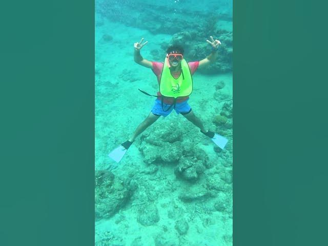 Video thumbnail for Pickleball getaways at Sandals Royal Curaçao