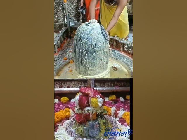 Video thumbnail for Bhakti ka digital saathi — Shivaseva.com