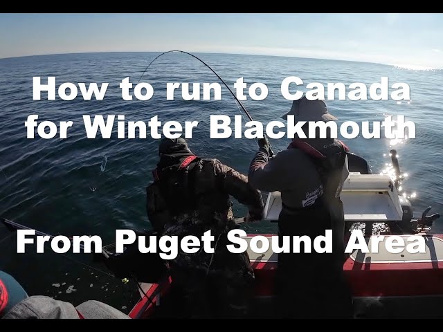 'Video thumbnail for How to Fish Canada for Blackmouth Salmon from Washington INTRO'