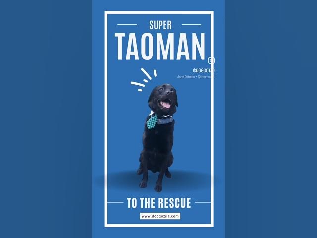 'Video thumbnail for Dog Natural Healthy - Natural pain relief for dogs'