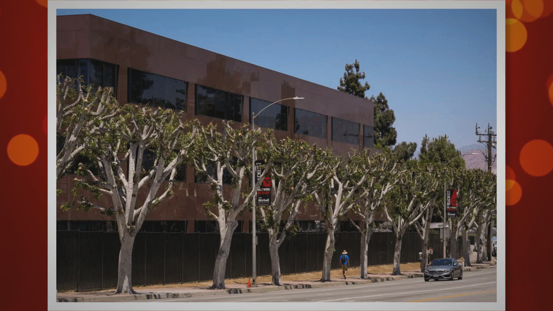 Video thumbnail for The Best Time to Trim Trees in Southern California_ A Guide
