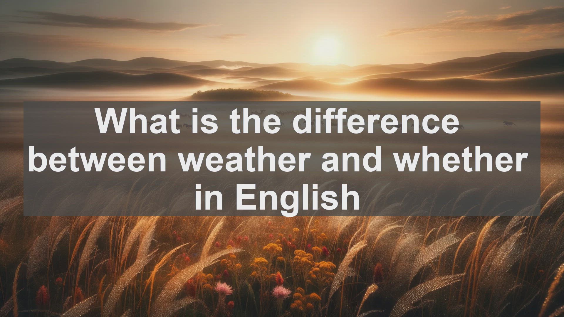 'Video thumbnail for What is the difference between weather and whether in English?'