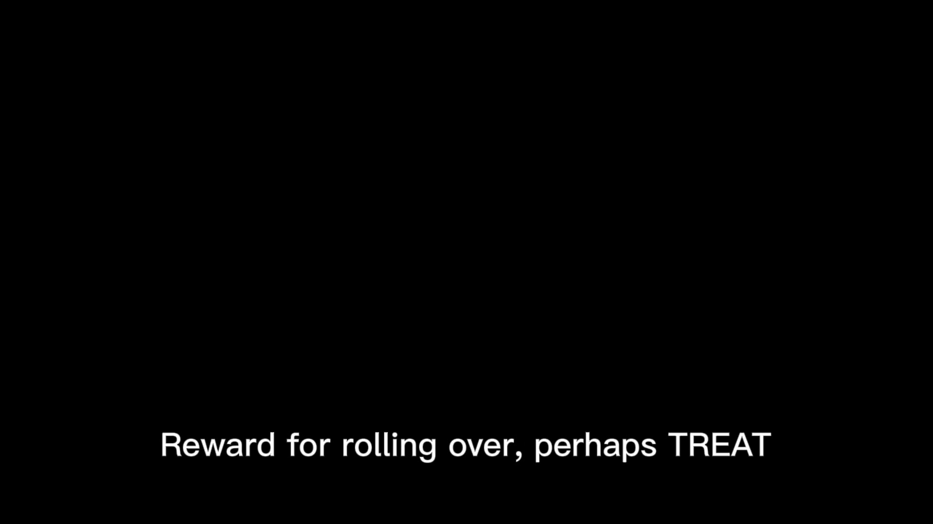 Video thumbnail for NYT Crossword Clues Answers 21 October 2025