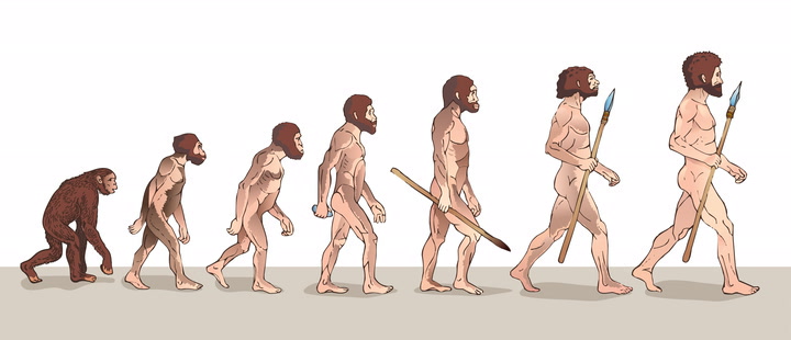 Video thumbnail for What is Darwin’s Theory of Evolution?