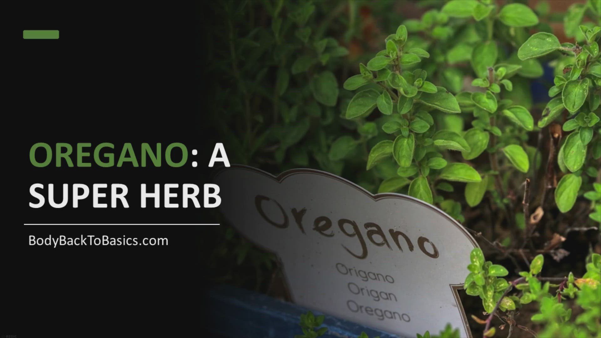 'Video thumbnail for Oregano: A Super Herb for Healthy Nutrition'