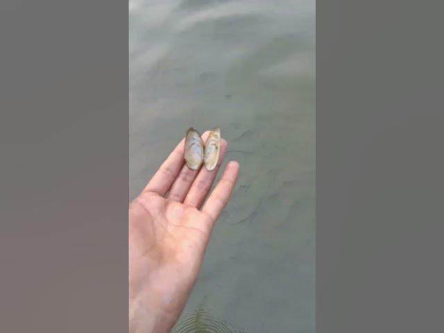 Video thumbnail for Water Vlog