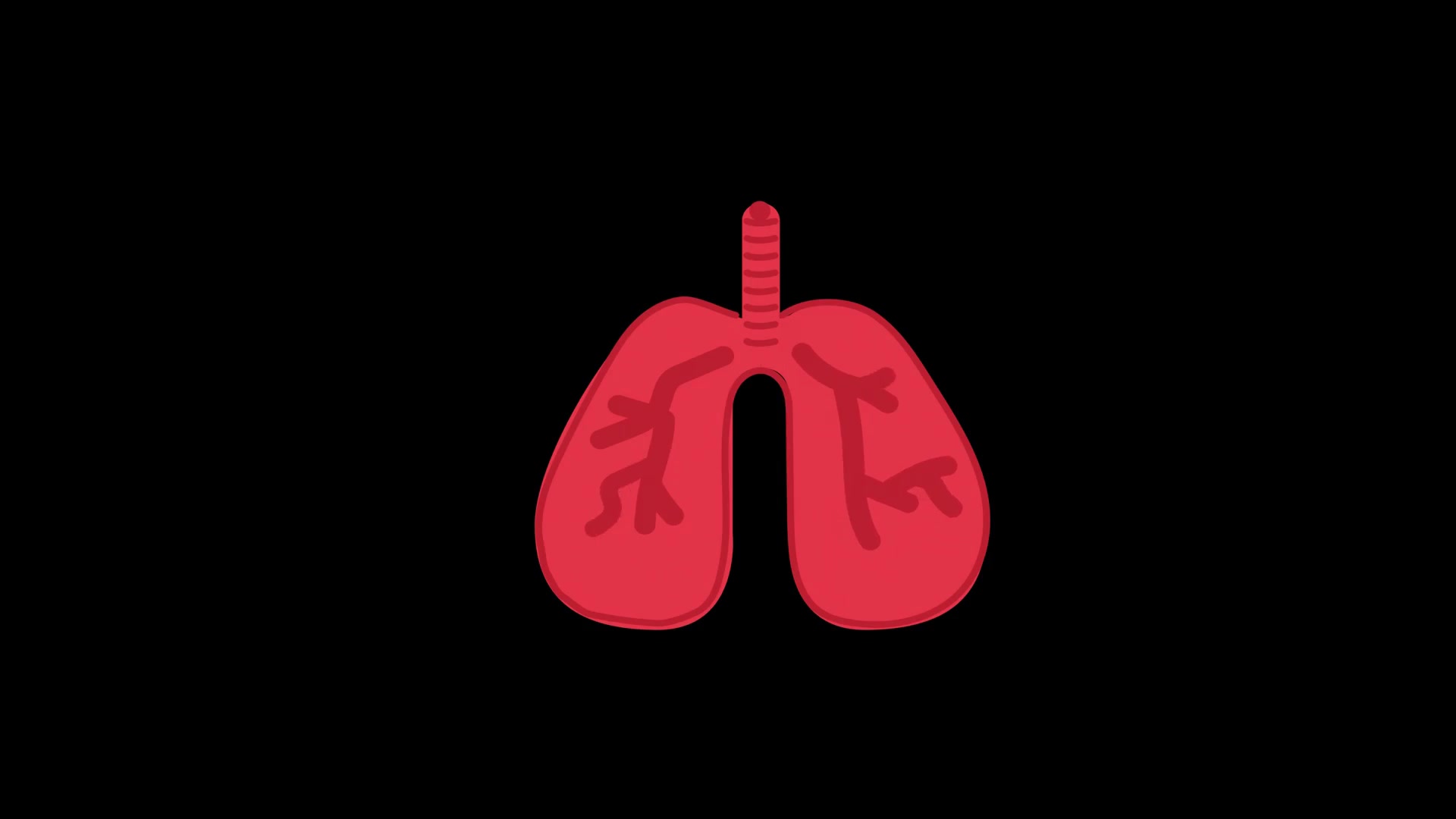 Video thumbnail for What to Do If You Breathe Ozone – Quick Safety Guide080 Breathe Easy_ What To Do After Ozone Exp 2025-09-10 (1)