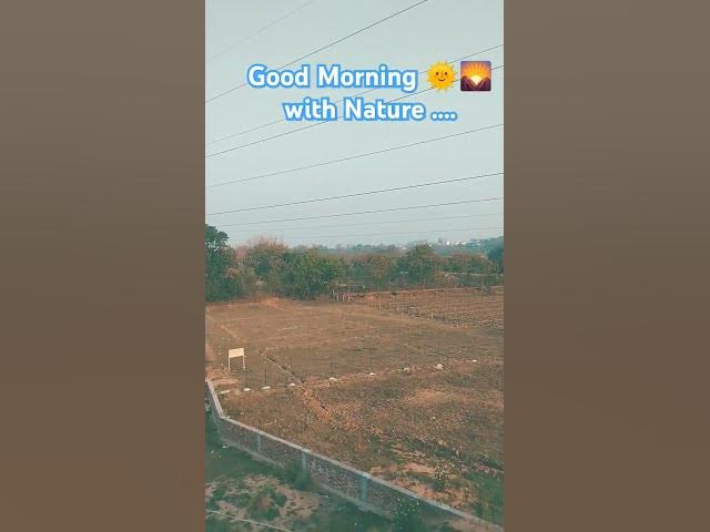 Video thumbnail for good morning with nature #nature #love #tea