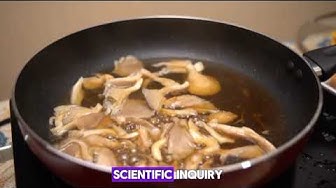 'Video thumbnail for "Fascinating Mushroom Facts That Will Amaze You!"'