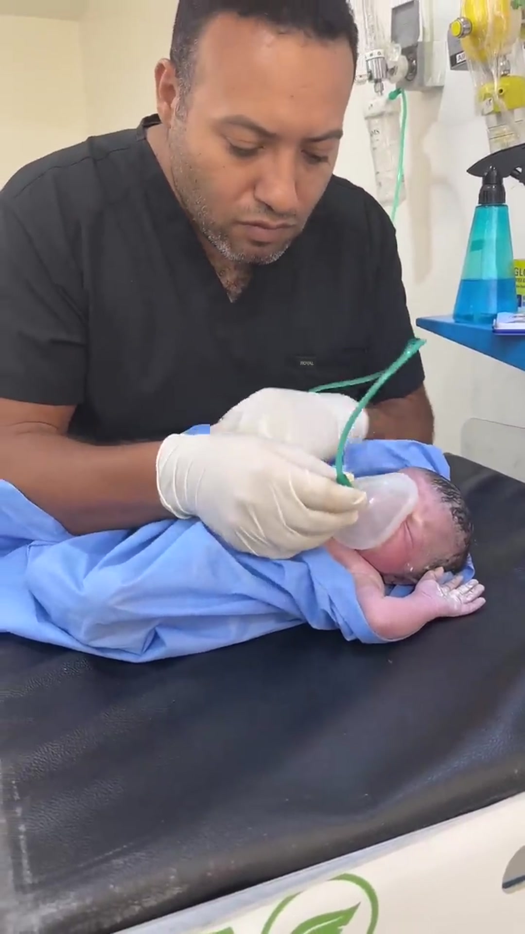 Video thumbnail for baby born every day(720P_HD)